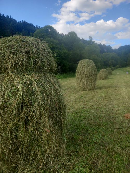 wycieczki