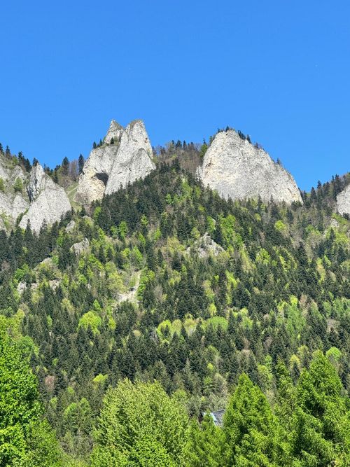 wycieczki